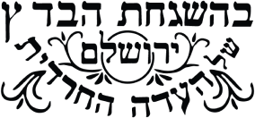 הכשרויות שלנו - בלדי